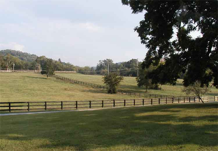 pasture2